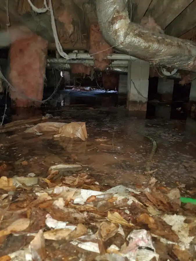 Crawl space flood assessment for Leak Detection & Repair in San Carlos